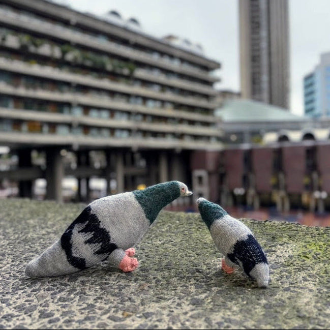 Pigeons by Various Projects