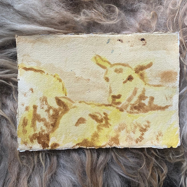 Jason Rosenberg's Sheep