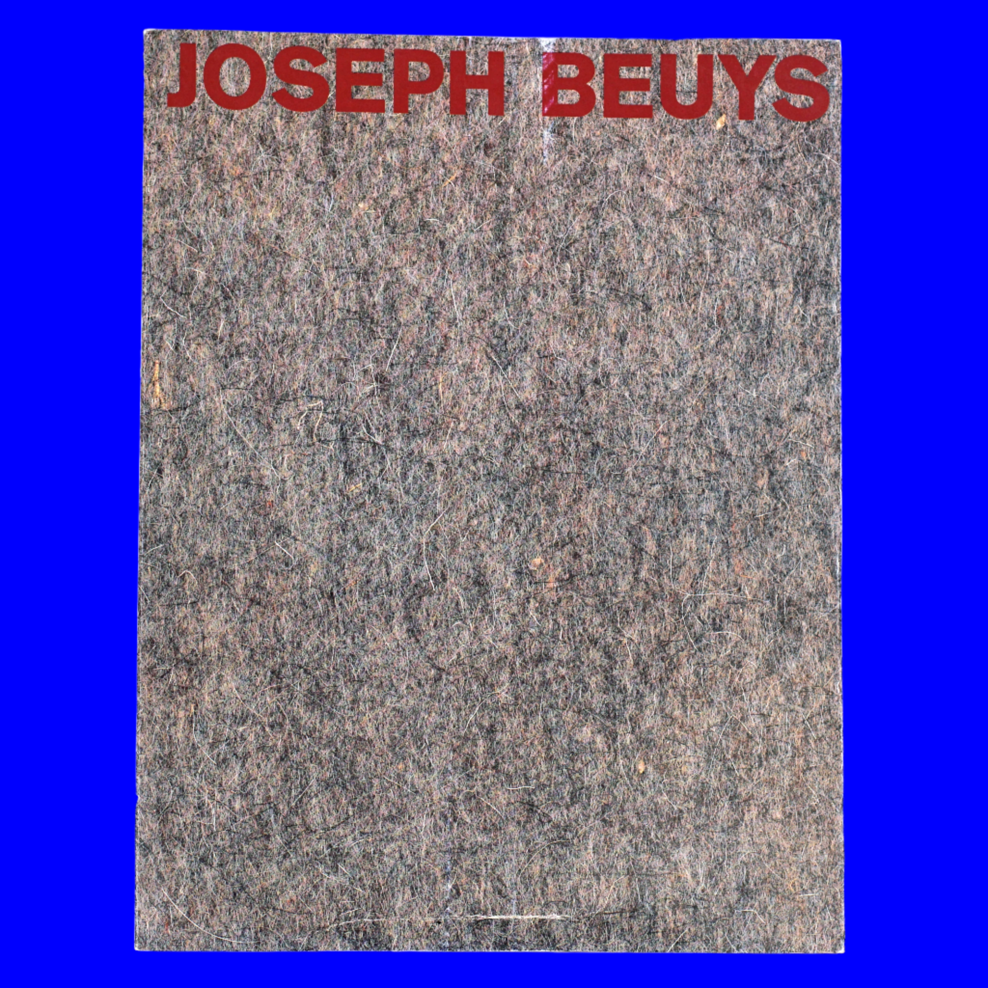 Joseph Beuys with Fat and Felt