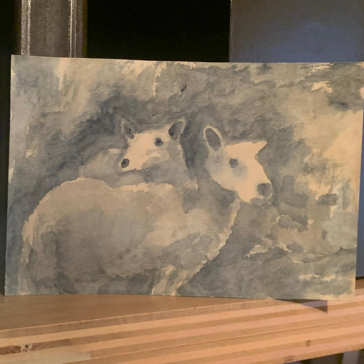 Jason Rosenberg's Sheep