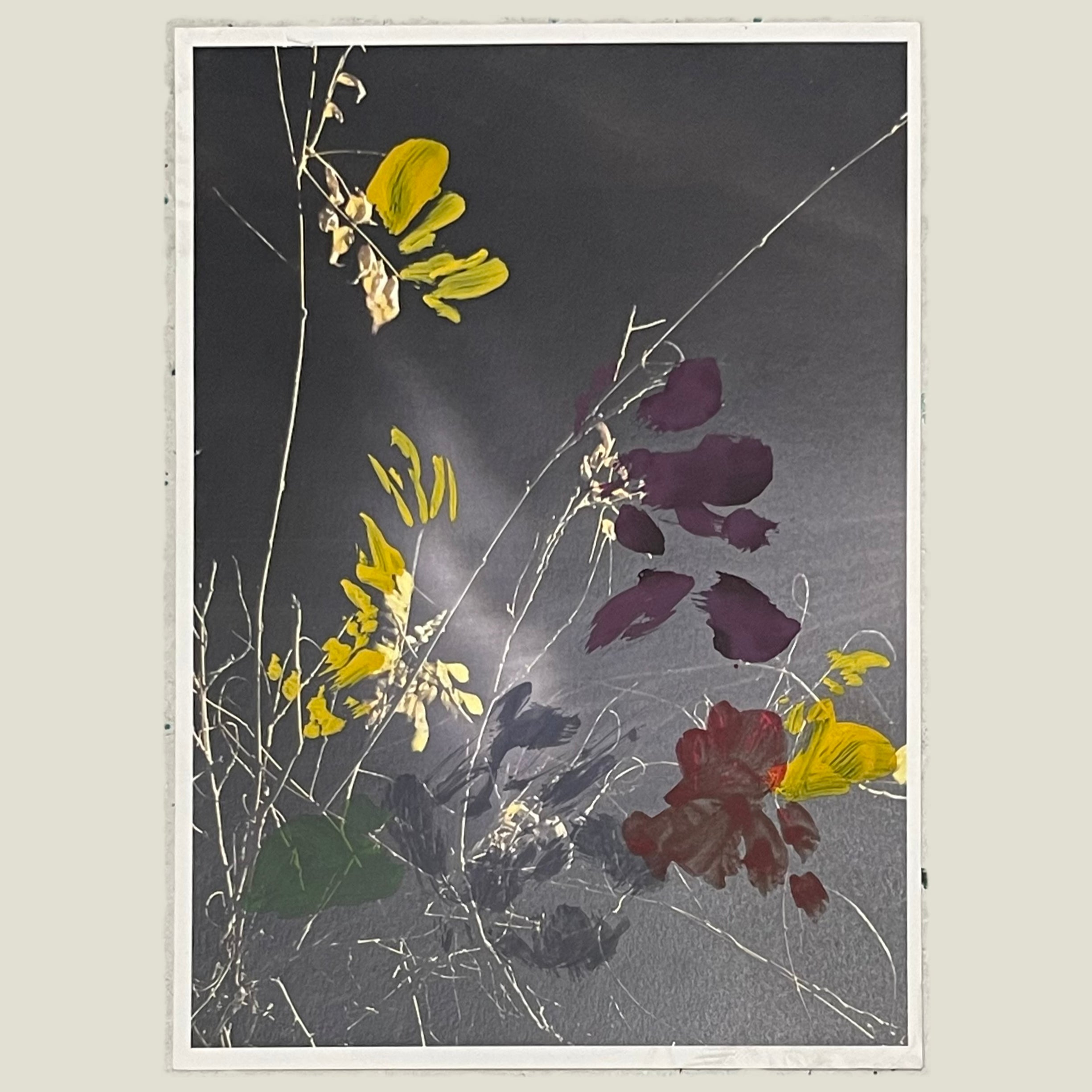 Night Visions by Sophie Kitching